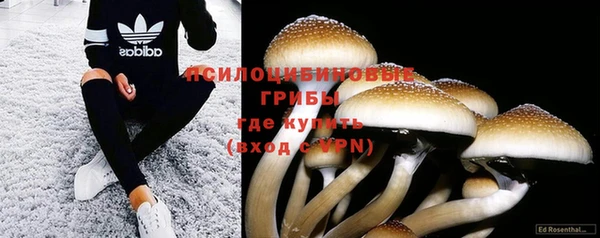 индика Белоозёрский